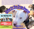 Gone to the Dogs Rescue